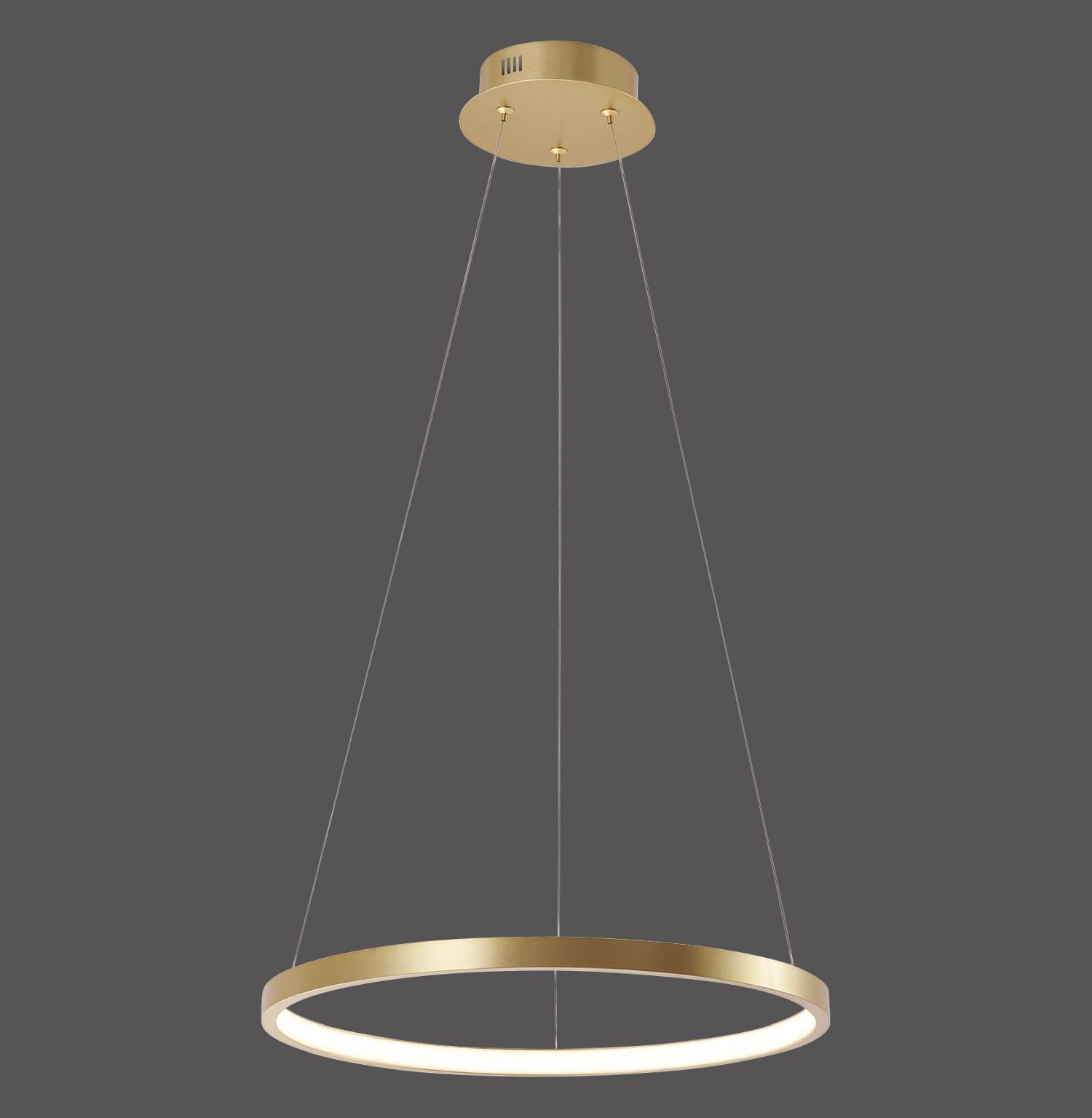 LED Hängelampe Ring in Gold Metall Ø39 cm 2450 lm 19 W