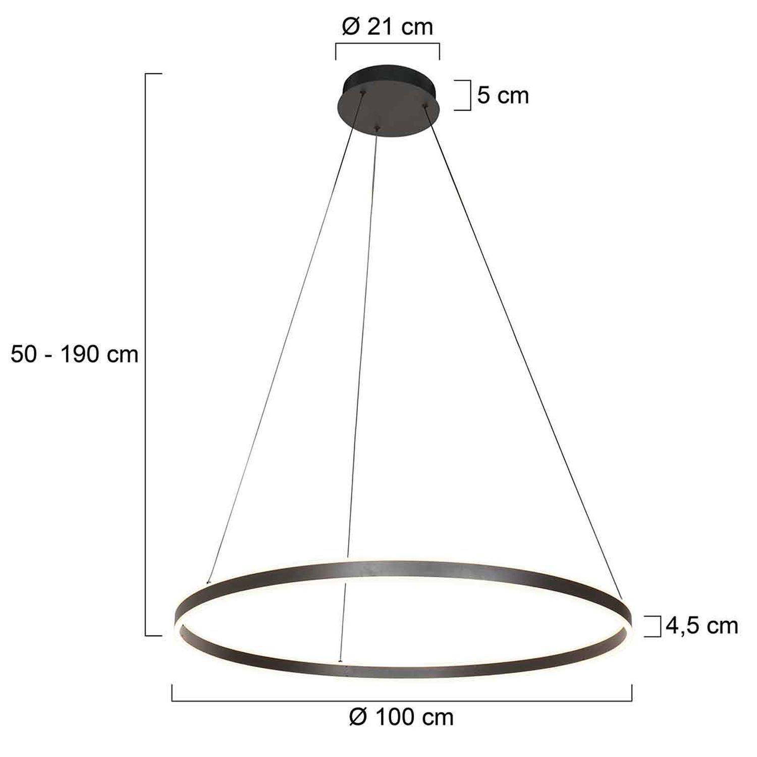 Große LED Pendelleuchte Schwarz Ø100 cm 80 W 2700 K